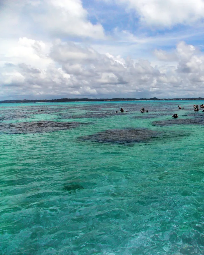Piscinas naturais de Maragogi