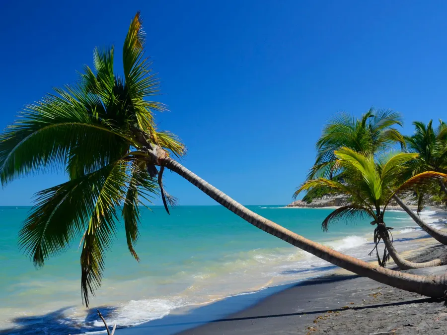 Praia de coqueiros no litoral da Bahia